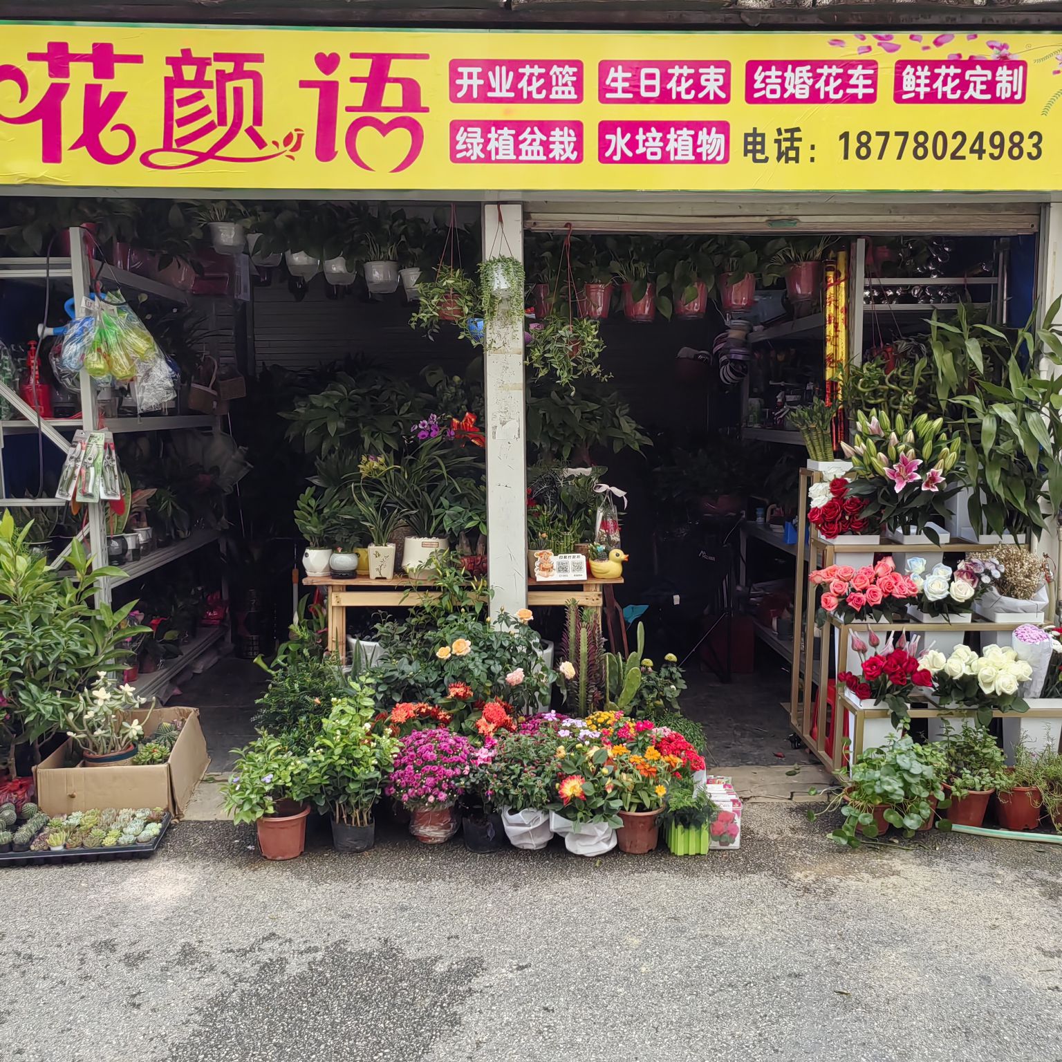 花颜语(良庆区花鸟市场)