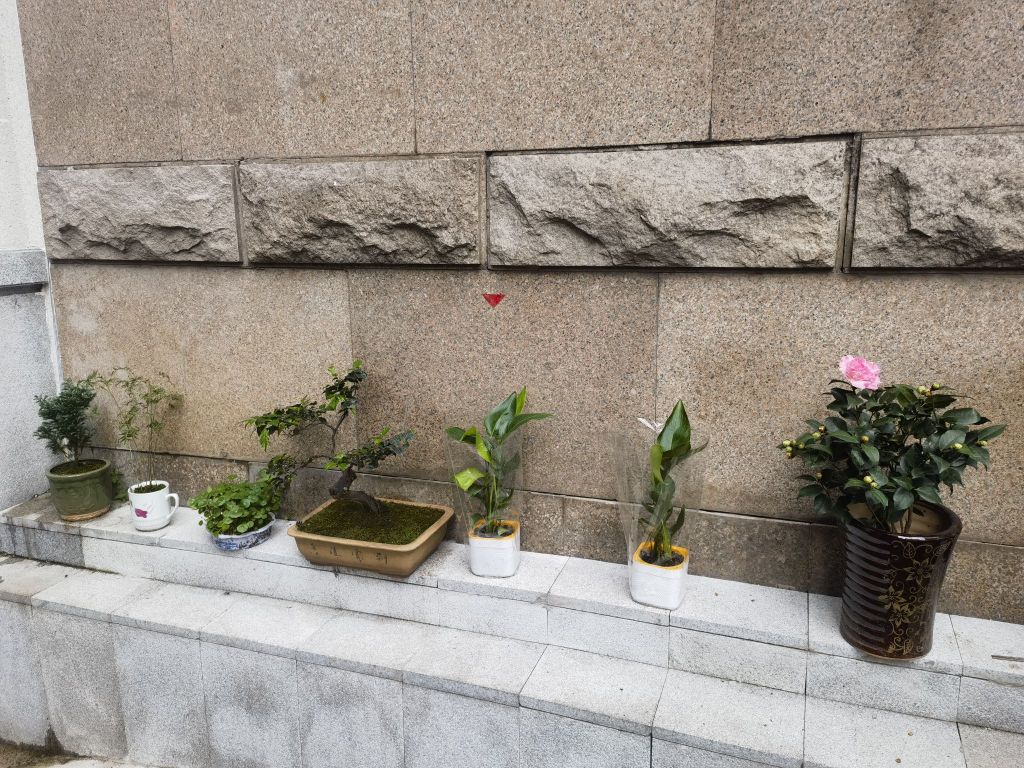 李记花店