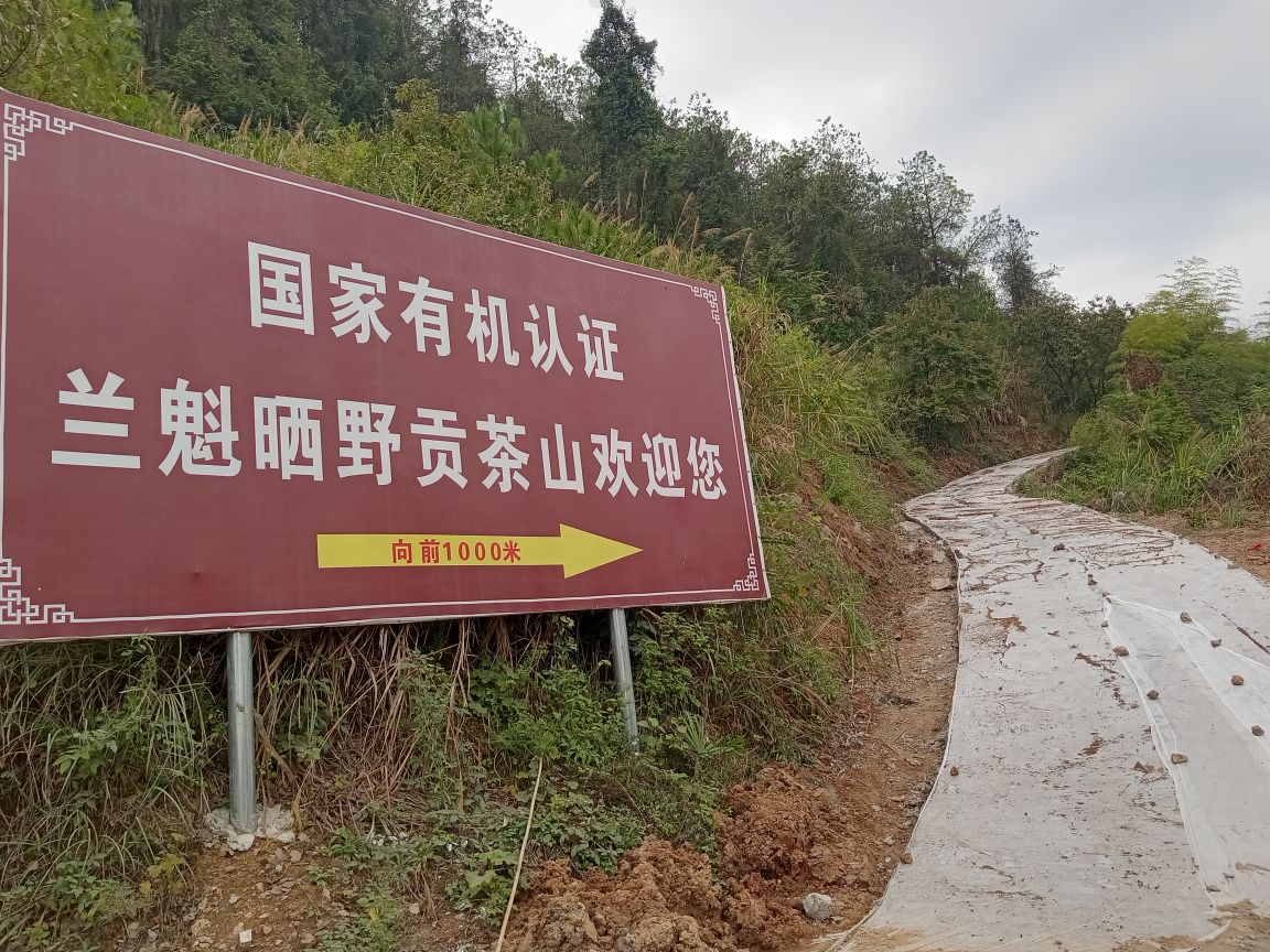 上晒野村茶场
