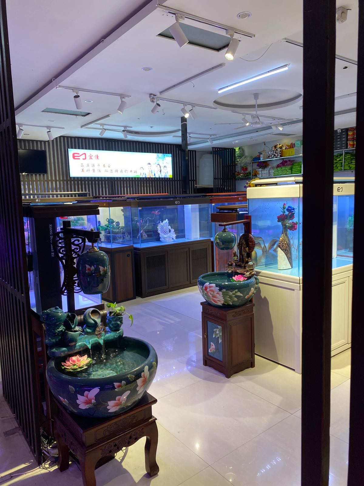 水贵坊水族用品店(中原店)