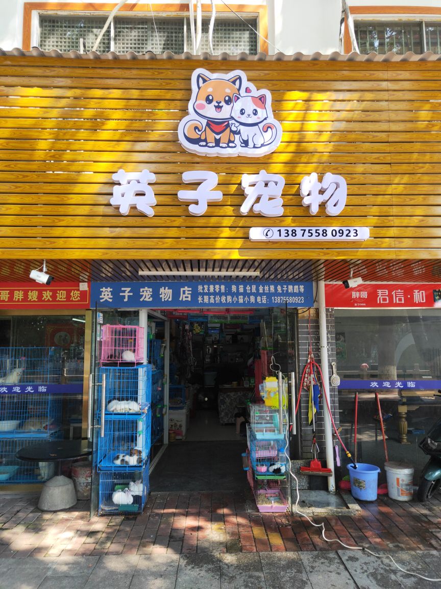 英子宠物店