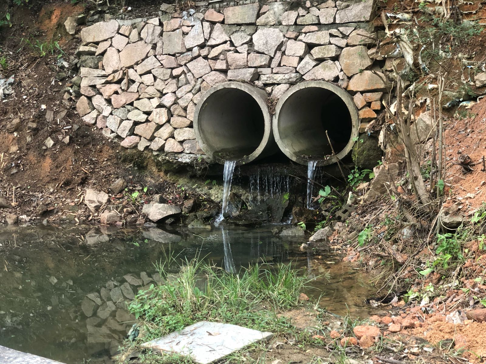 响水湾山泉钓鱼场