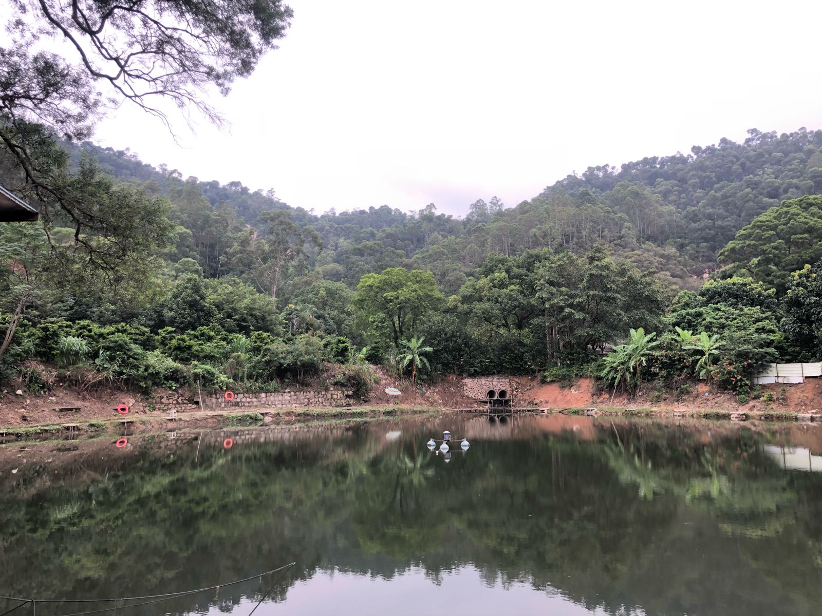 响水湾山泉钓鱼场