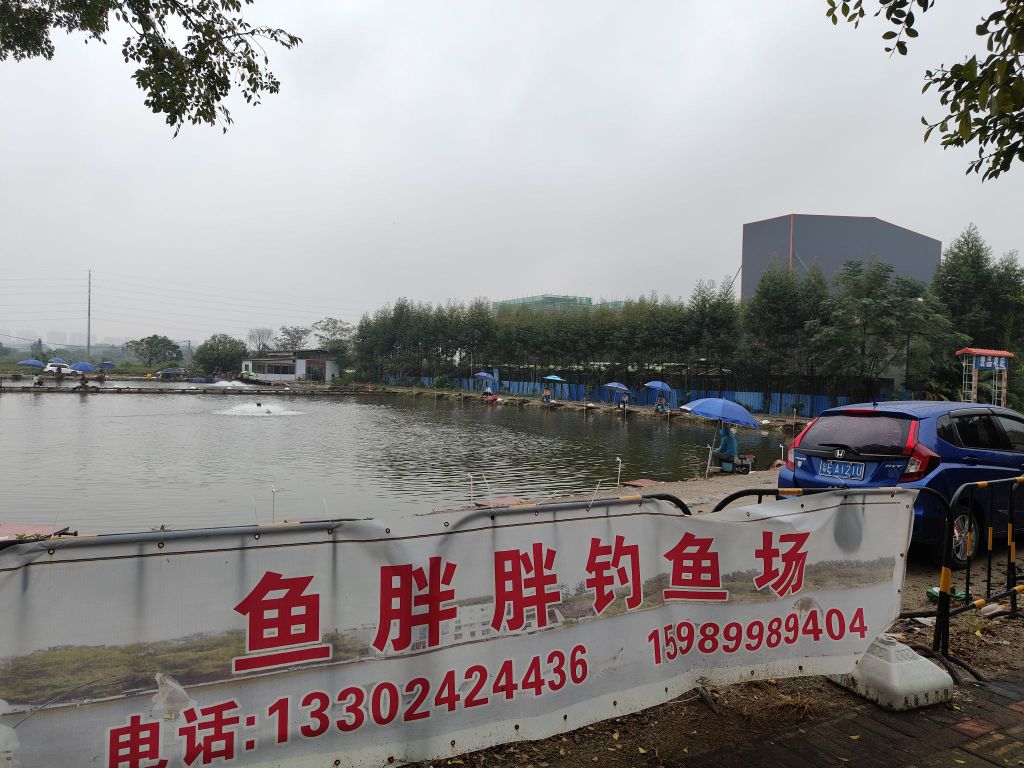 鱼胖胖钓鱼场