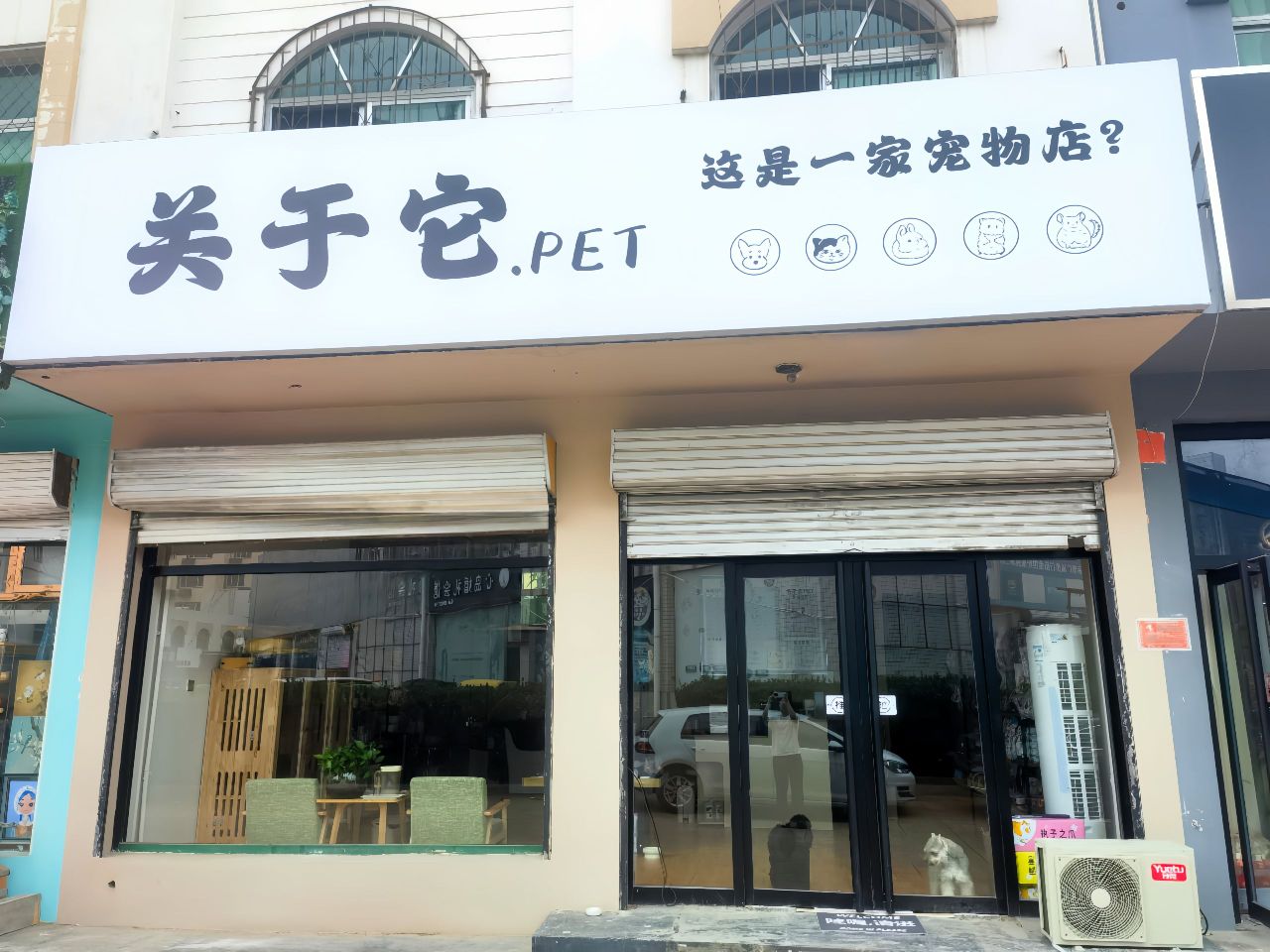 关于它宠物店