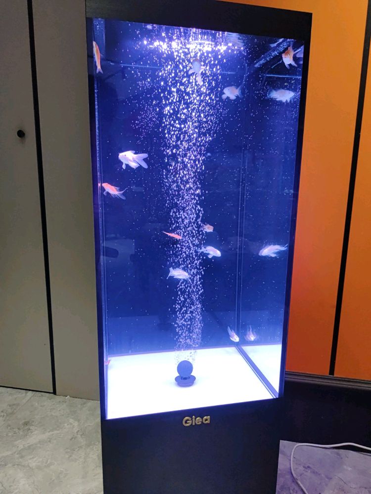 睿美水族七秒鱼缸(新泰吾悦广场店)
