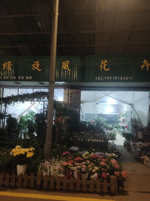 绿旋风花卉批发(京东花鸟综合批发大市场店)