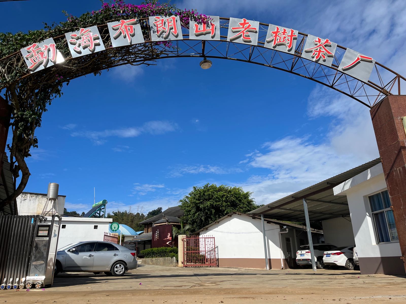 勐海布朗山老树茶厂
