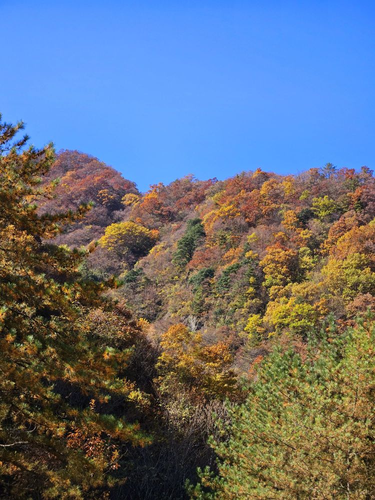 黄花岭