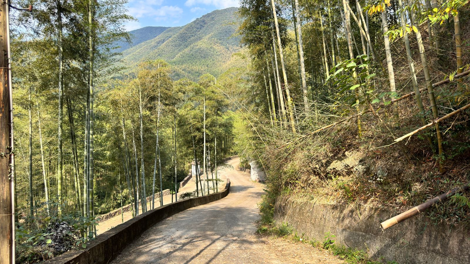 真觉寺