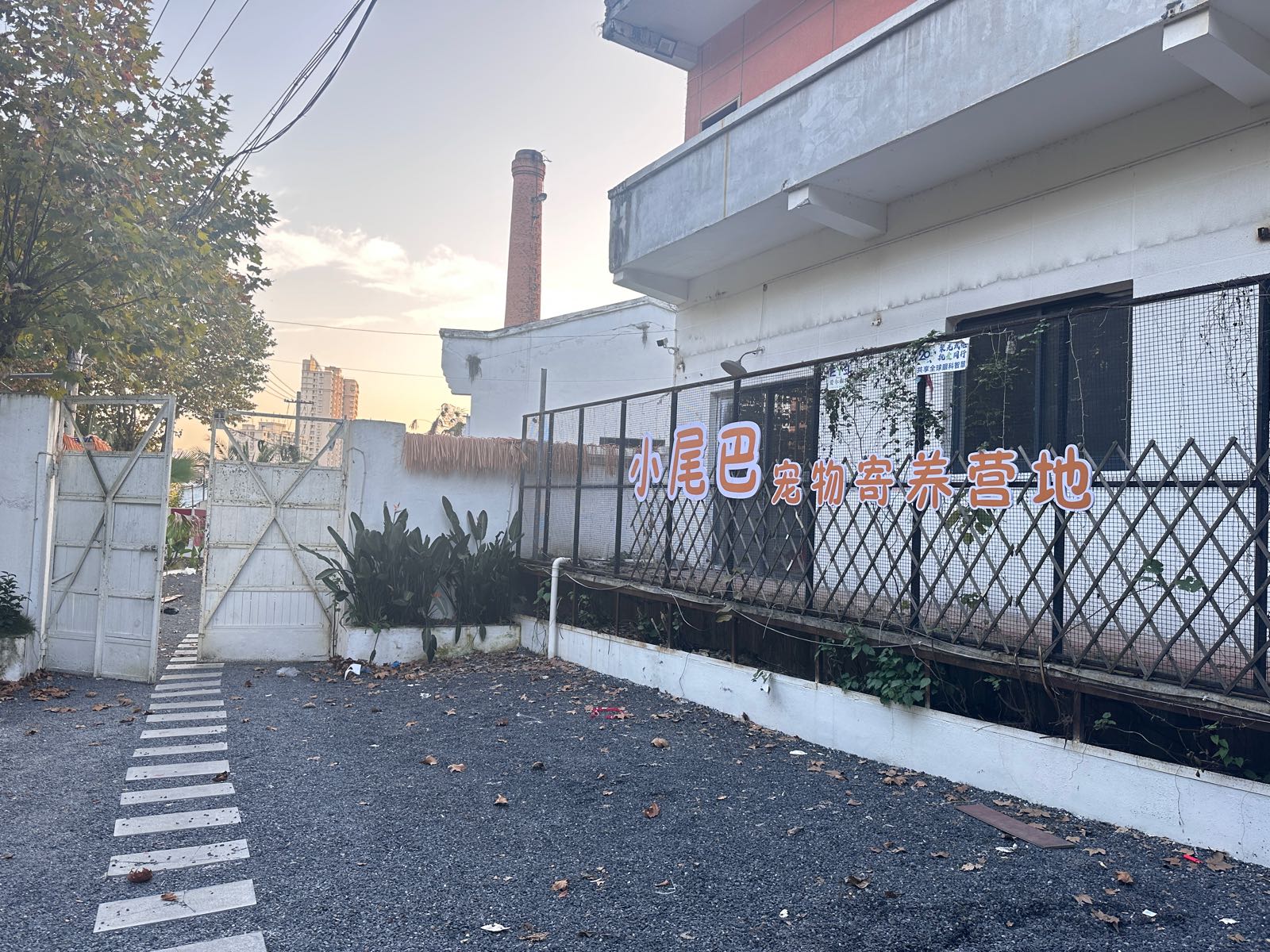 小尾巴宠物寄养营地