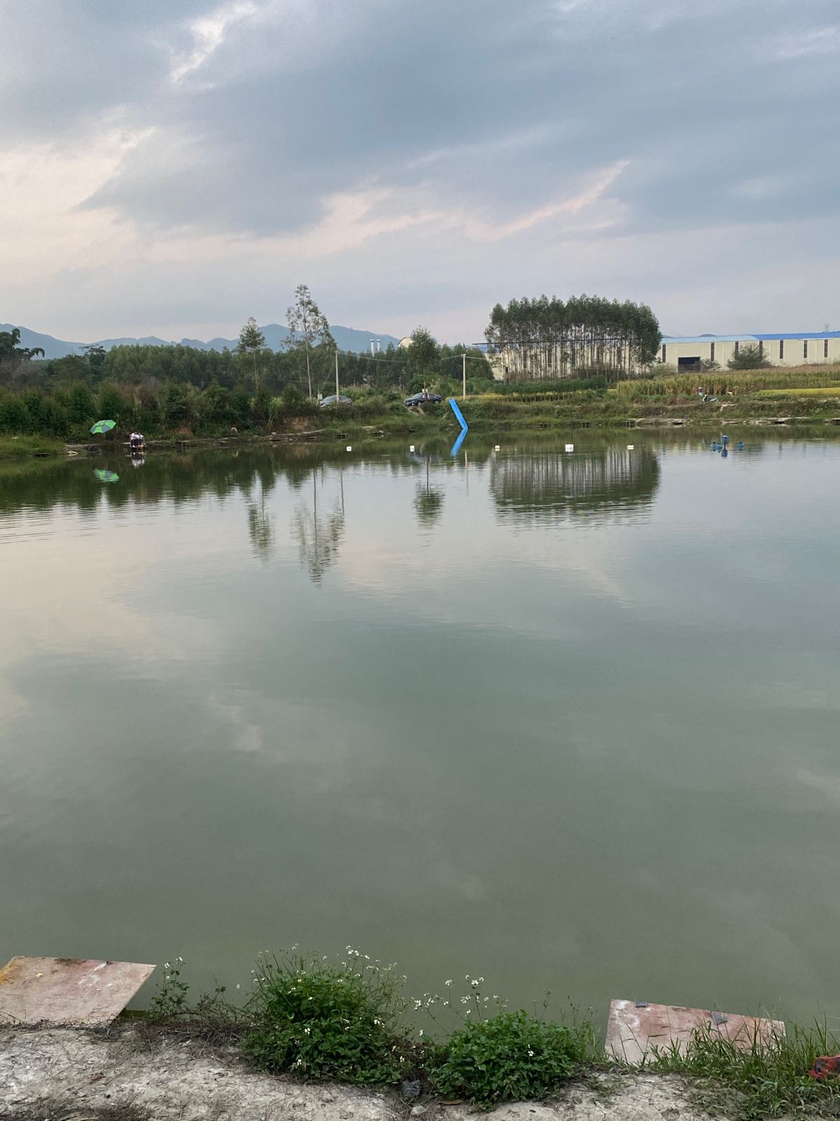 大王村垂钓基地