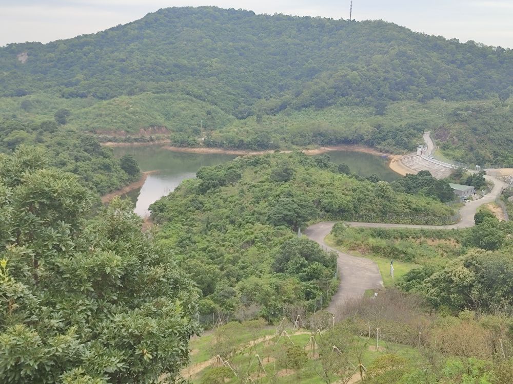 高圳水库