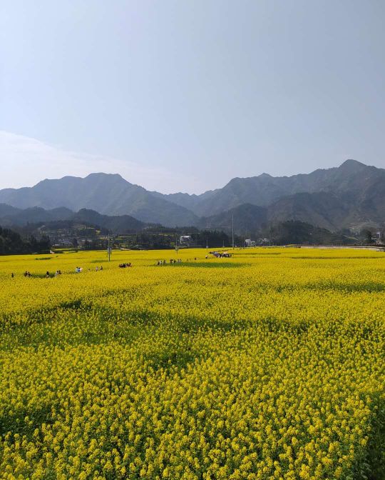 贵州省铜仁市碧江区