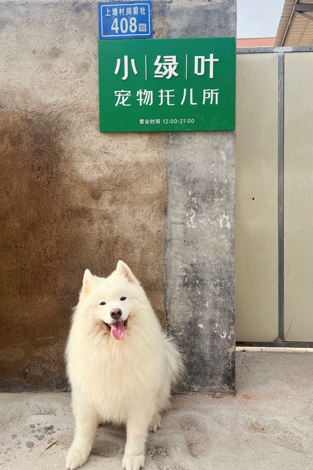 小绿叶宠物托儿所