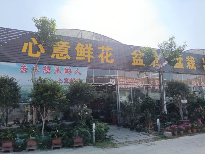 作栽饶盆景盆花·鲜·心意