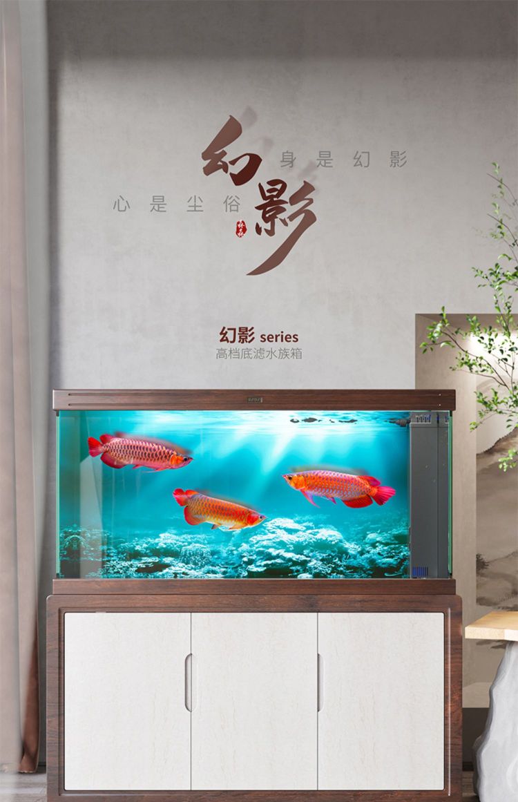 临港水族鱼缸观赏鱼(临港商城店)