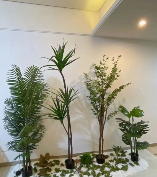 红玫瑰SPA桑拿会所