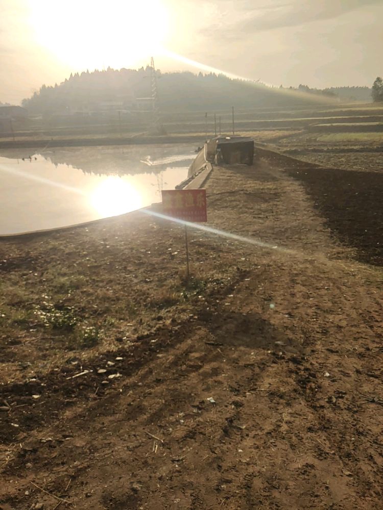 鑫鑫渔乐