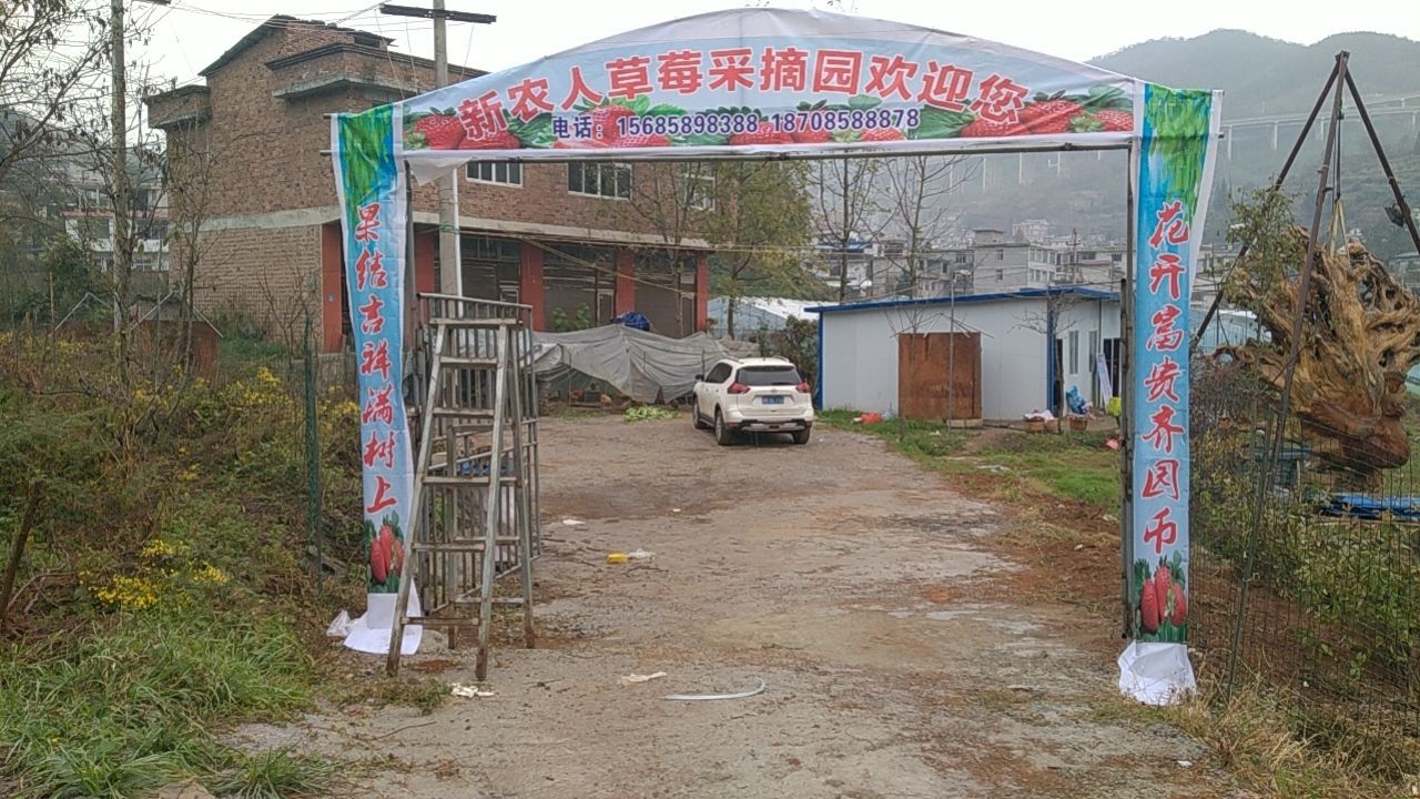 新农人草莓采摘园