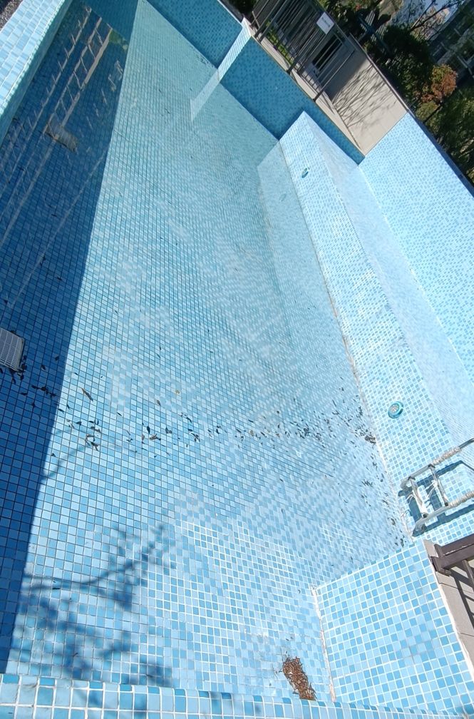 延平建发游泳池