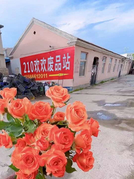 210欢欢废品站