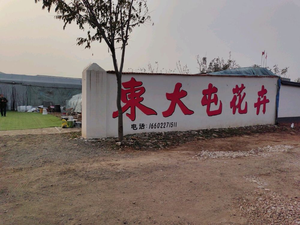东大屯花卉