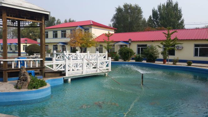 沈阳市大方实业有限公司