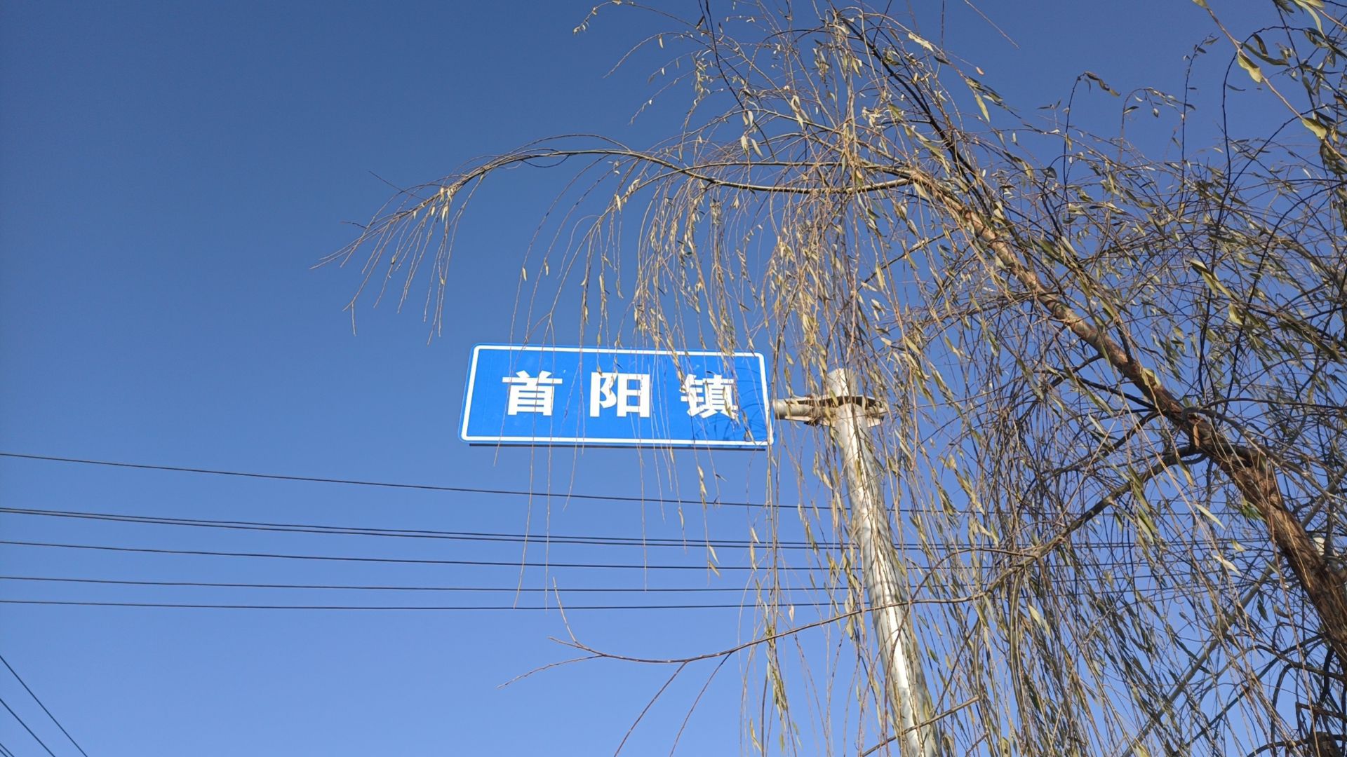 首阳镇