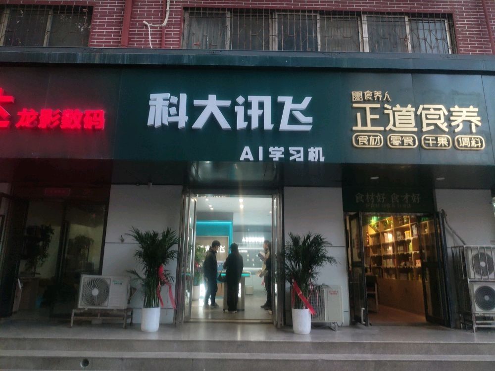 科大讯飞AI学习机旗舰店(纬五路一小店)