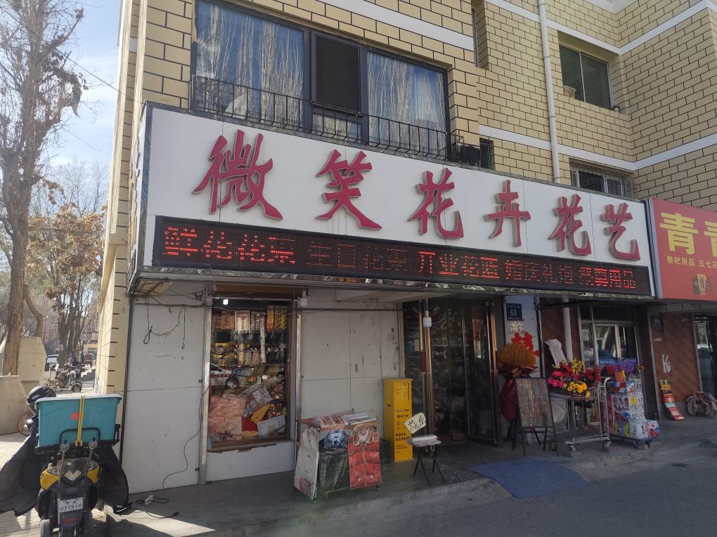微笑花卉兰山公园