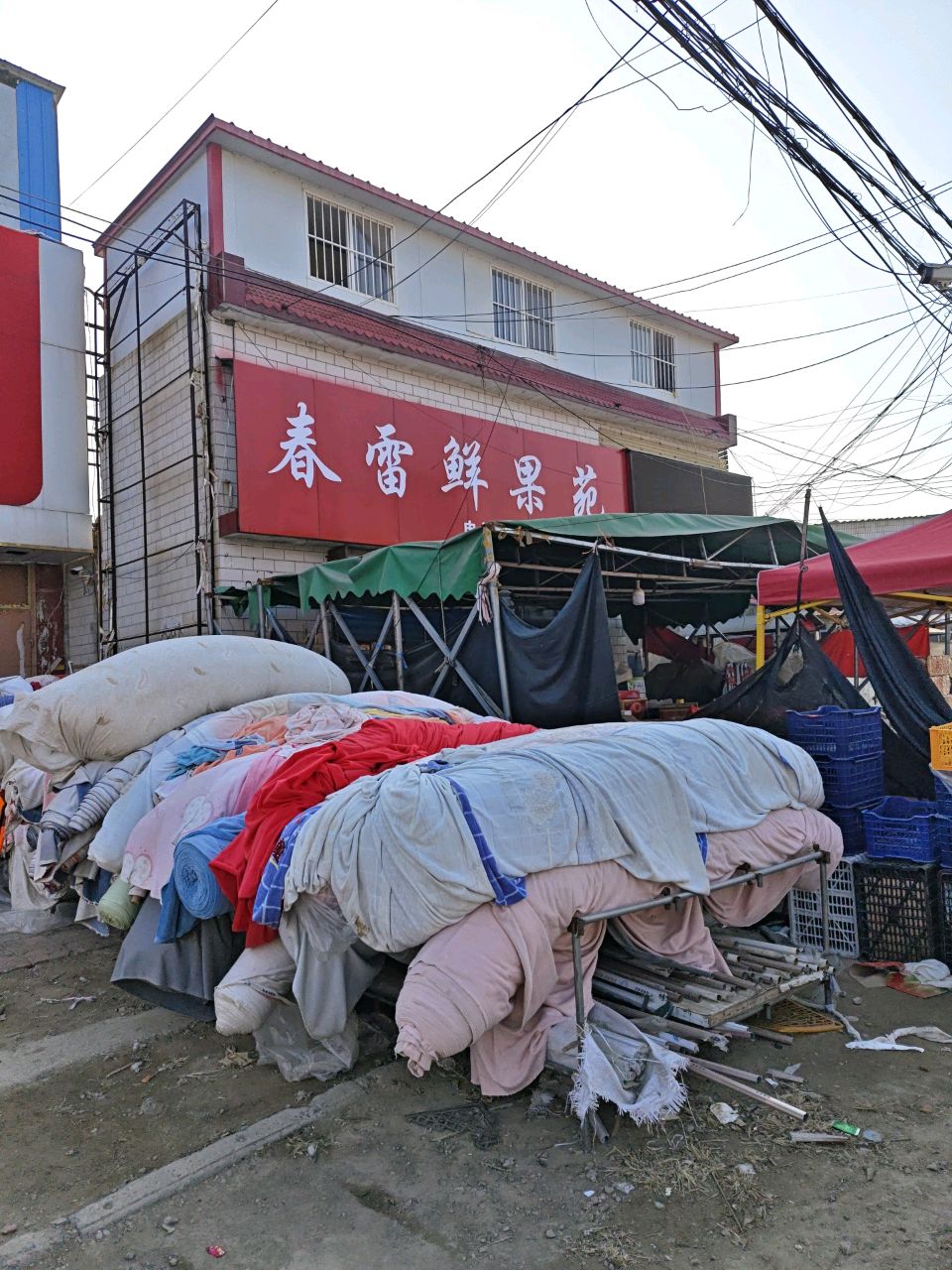 春雷鲜果苑