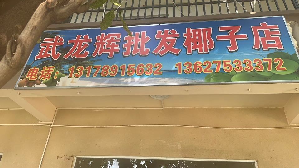武龙辉批发椰子店