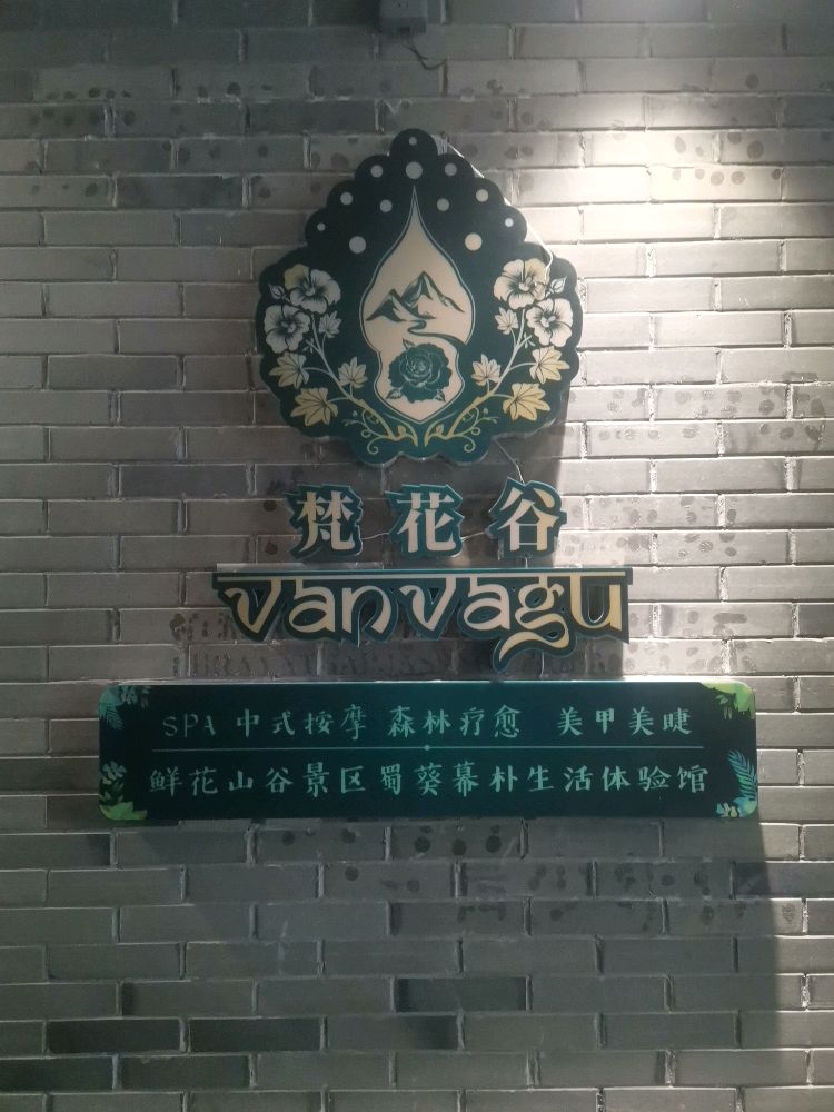 梵花谷SPA·影院足疗·禅洗头疗·推拿泰式(春熙路店)