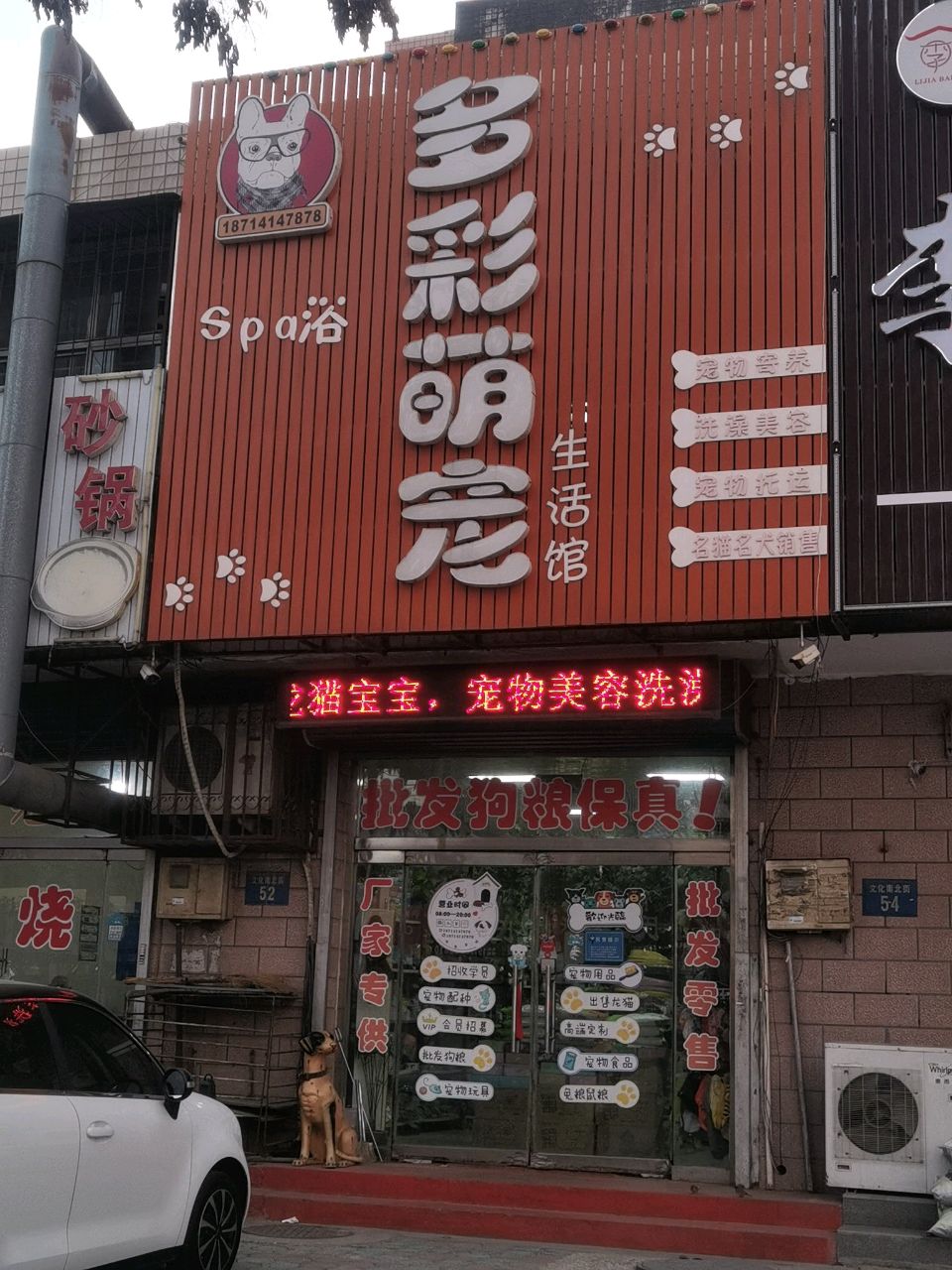 多彩萌宠