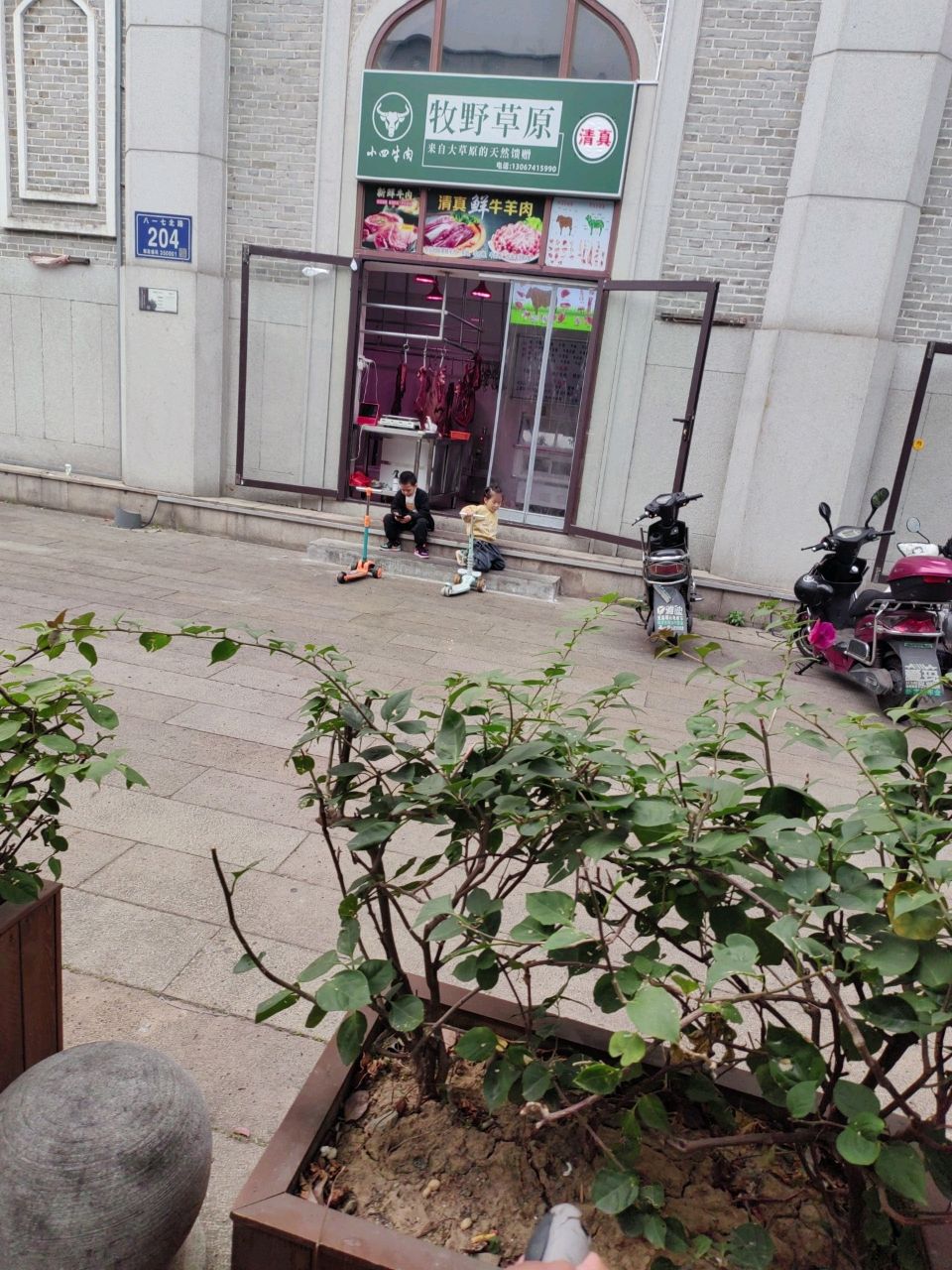 清真牧野草原