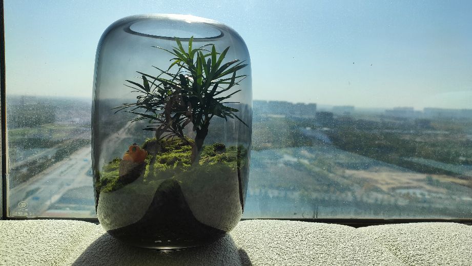 沁园花艺花卉水族馆鲜花店