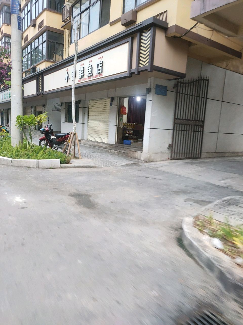 小罗鲜鱼店