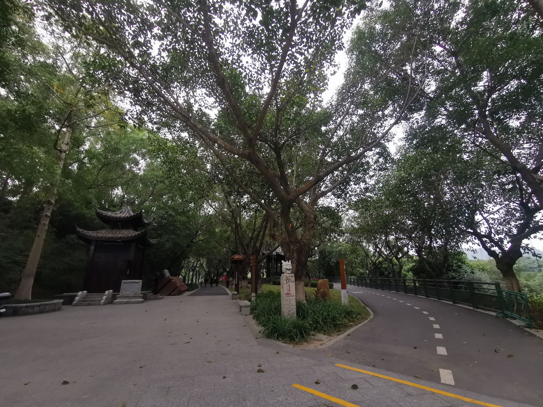 中山市金钟湖碧道-起点