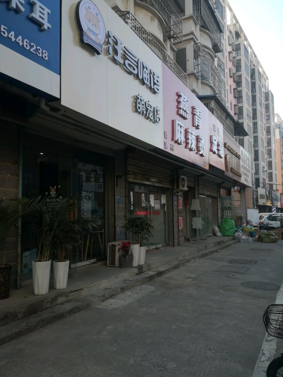 汪言喵语萌宠店