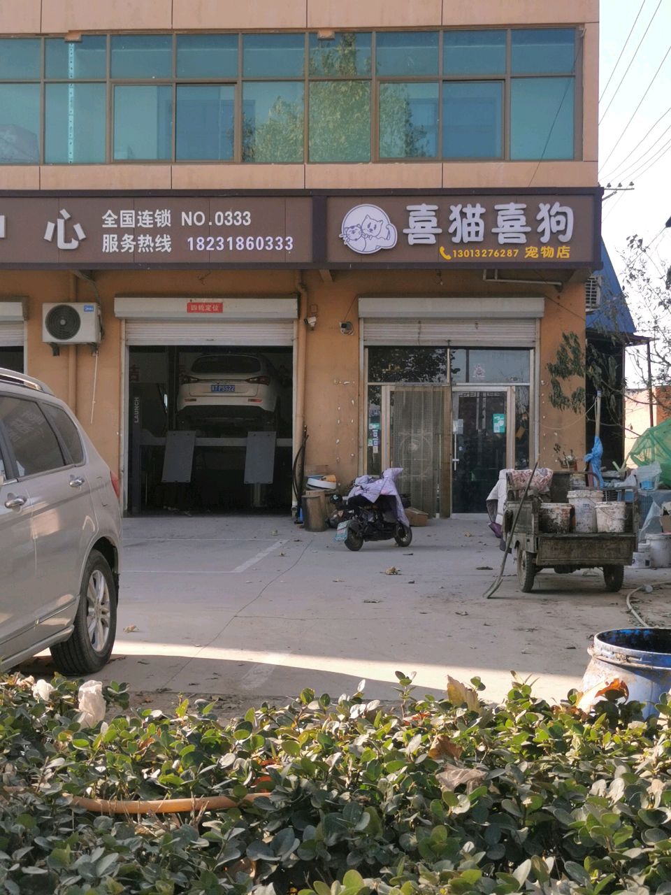 喜猫喜狗宠物店