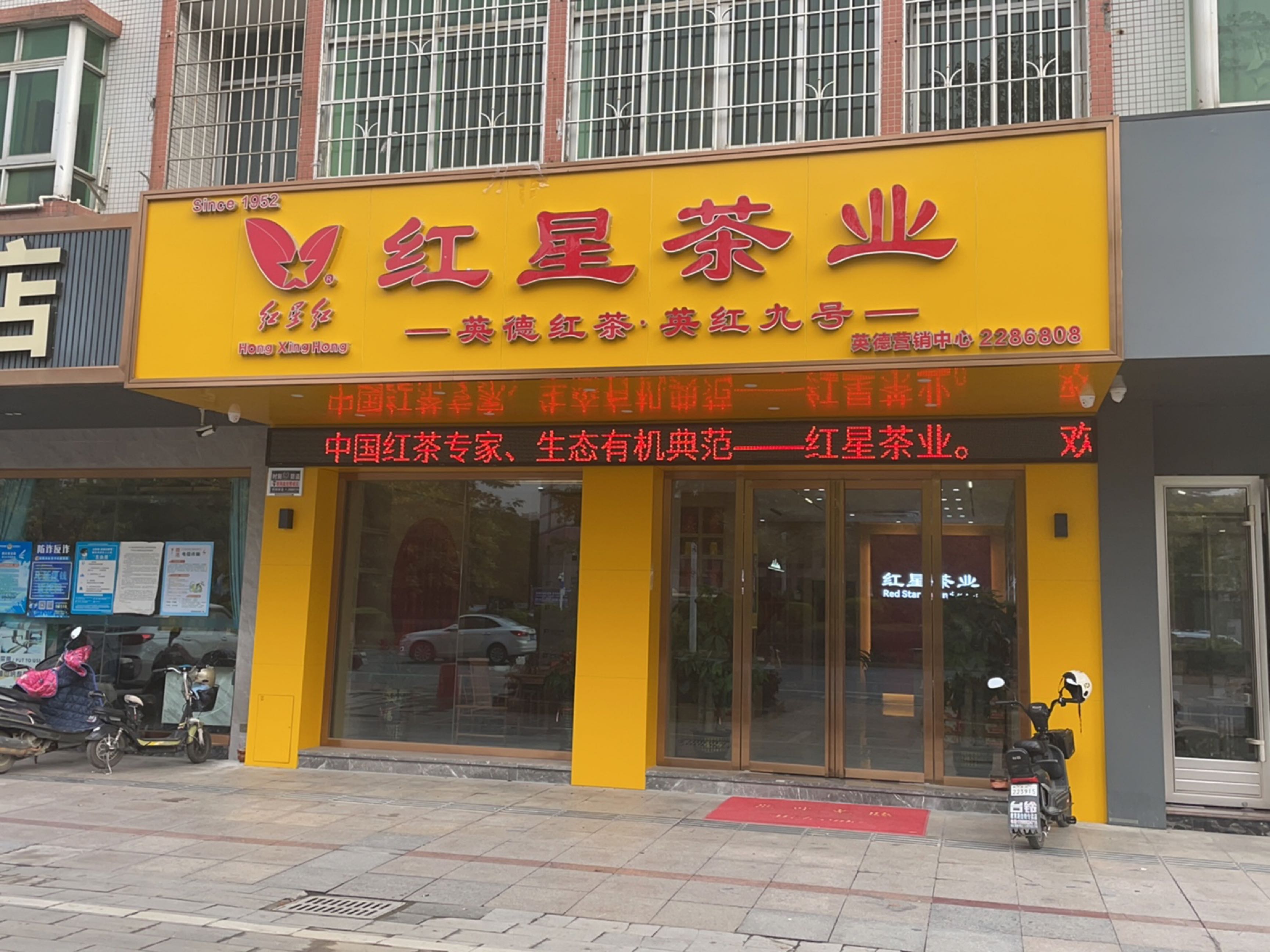 英德市红星茶叶有限公司