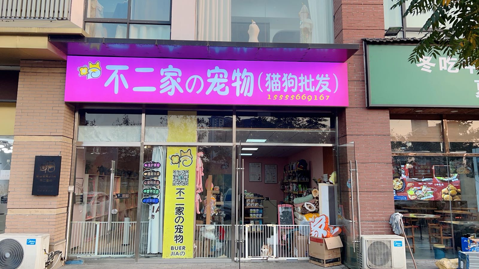 不二家の宠物(猫狗批发)