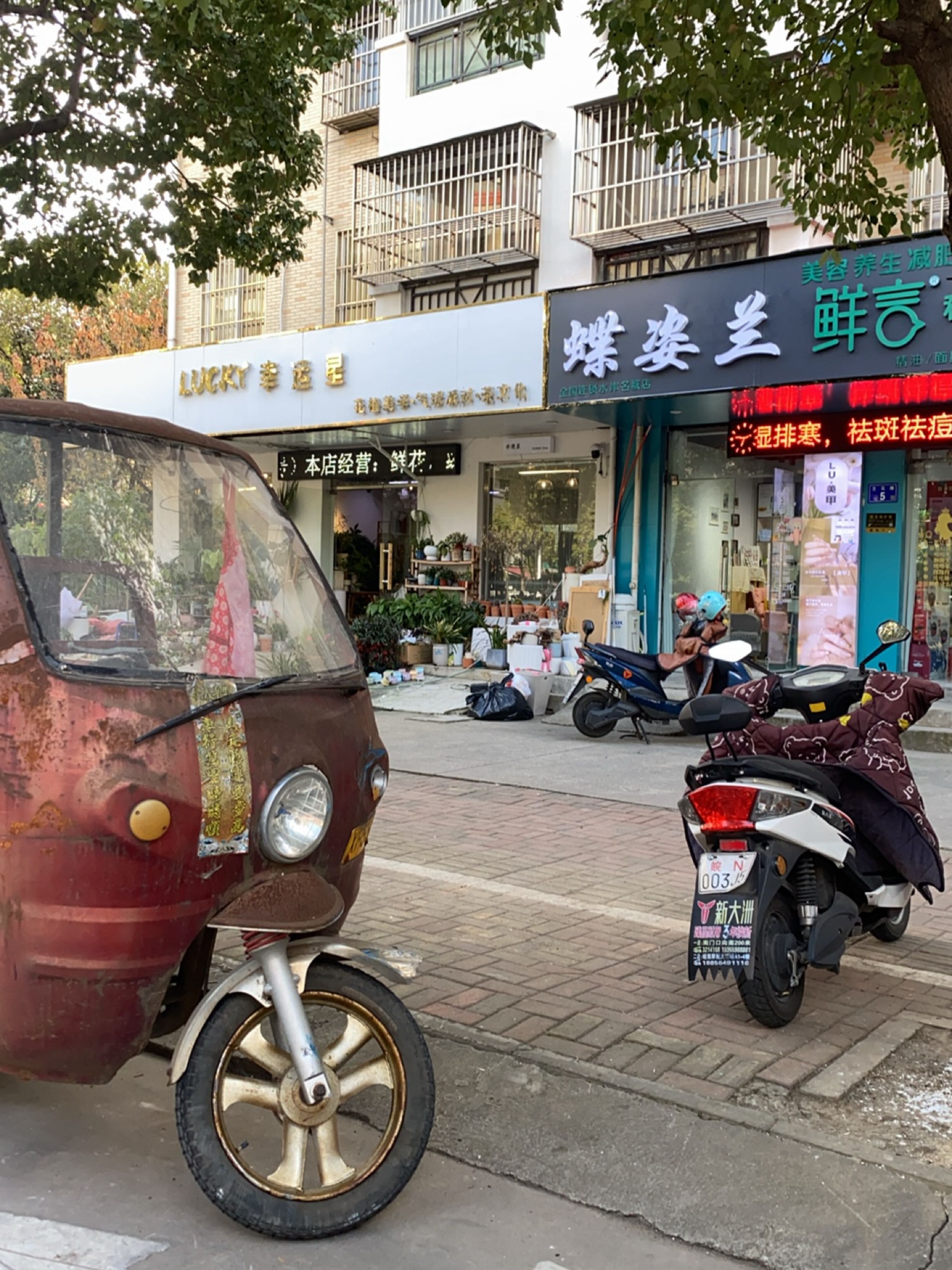 蝶黎姿兰