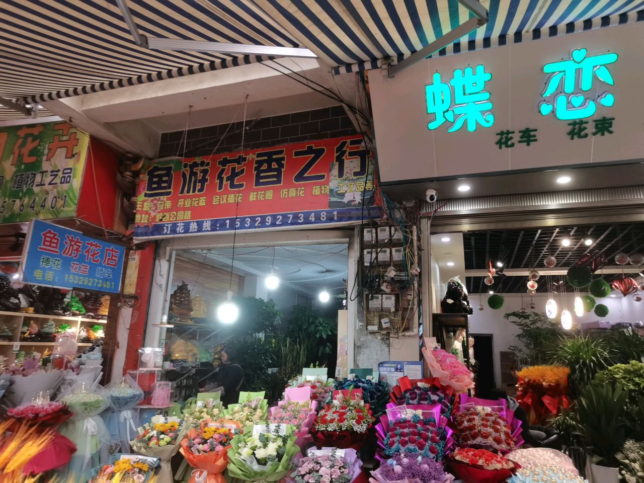 鱼游花香之行