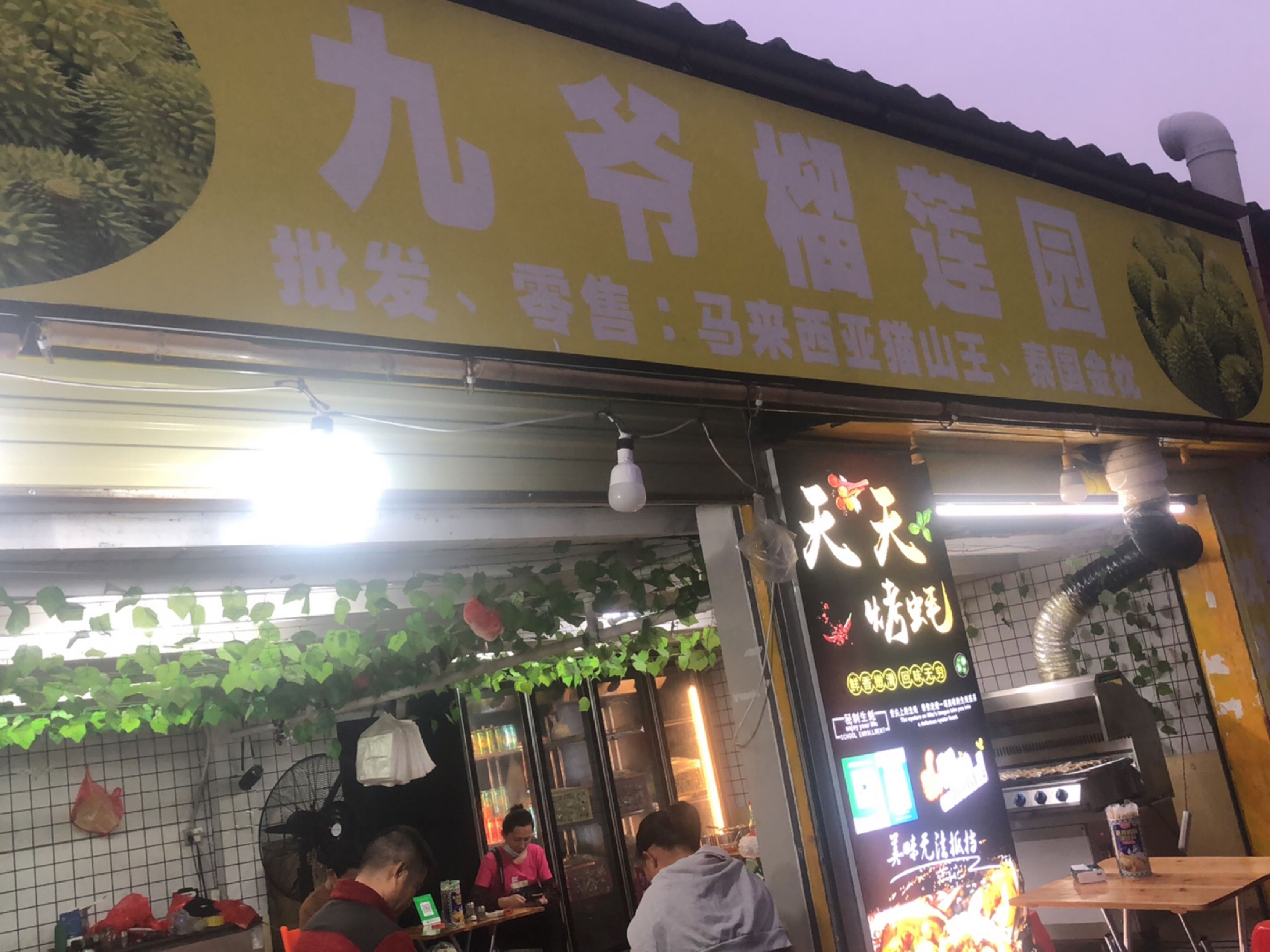 九爷榴莲园