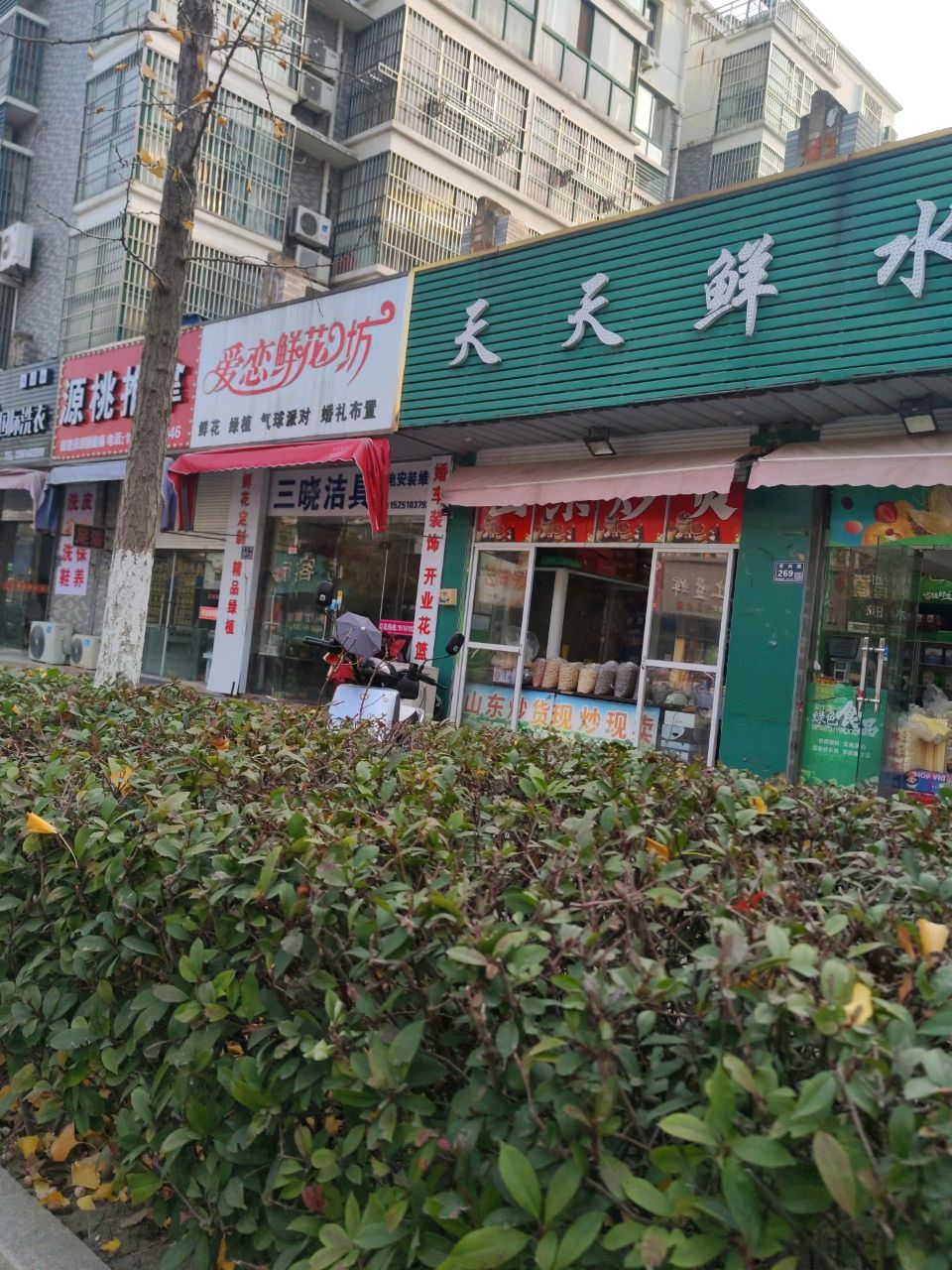 源桃氏推拿
