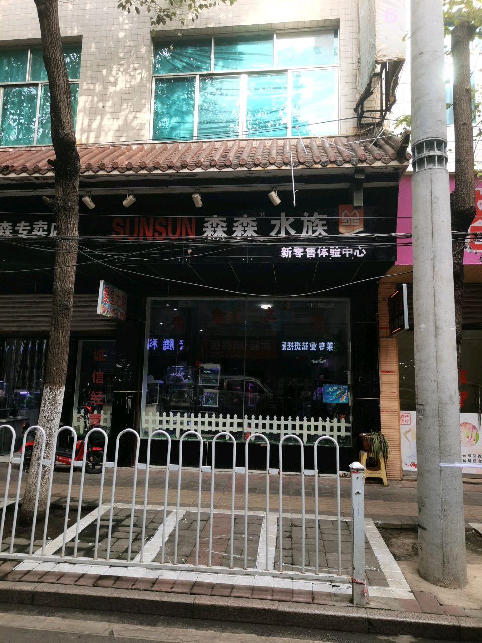 森森水族(黔西专卖店)