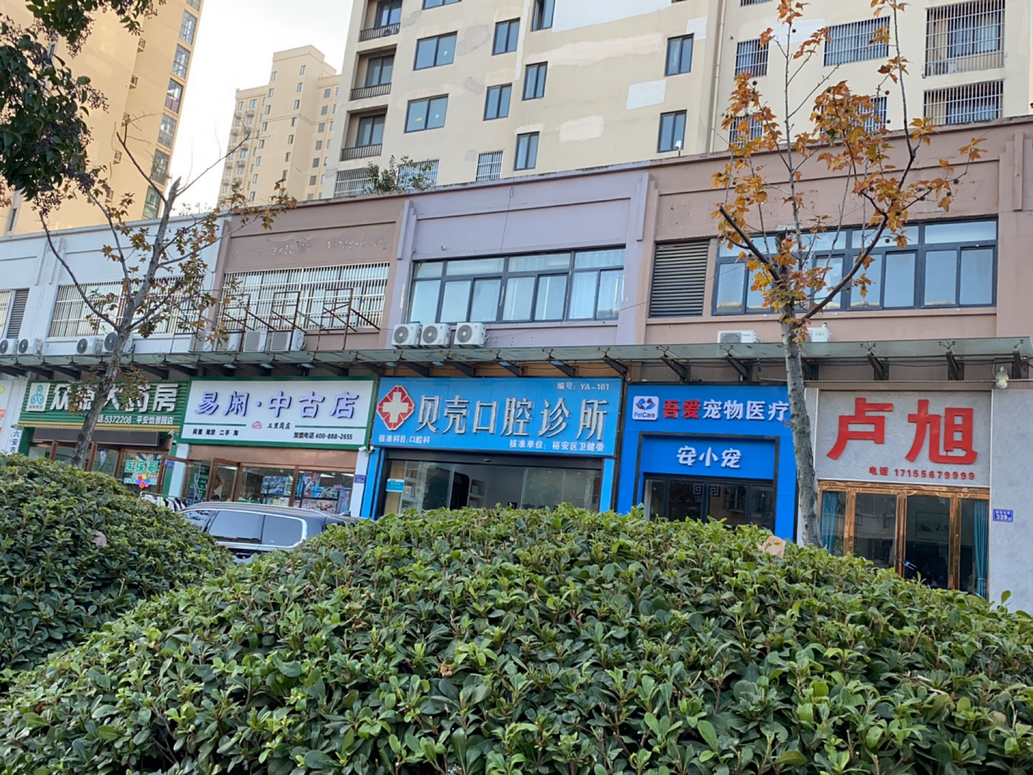 安小宠宠物店