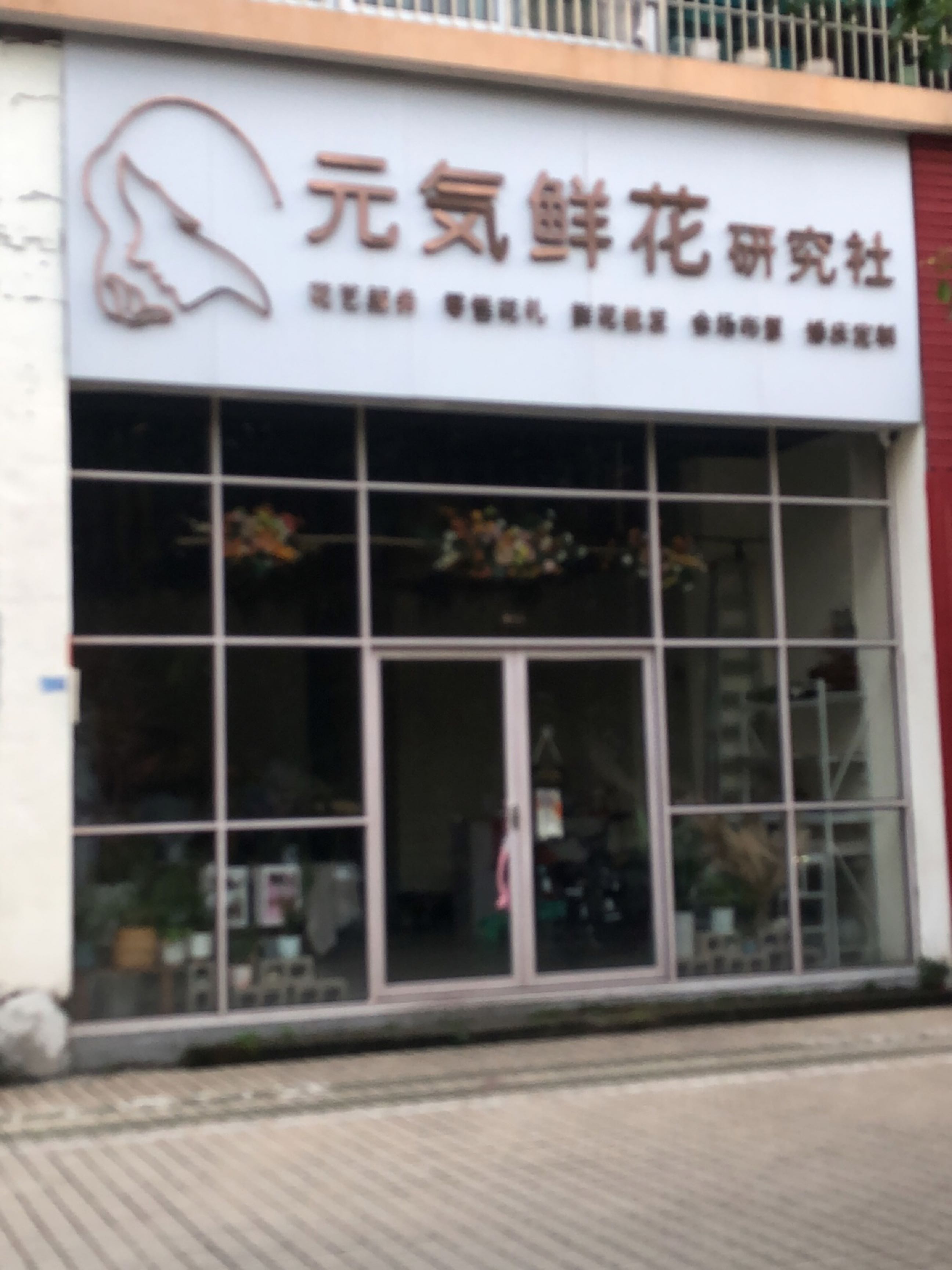 元気鲜花研究社(吉宝佳园店)